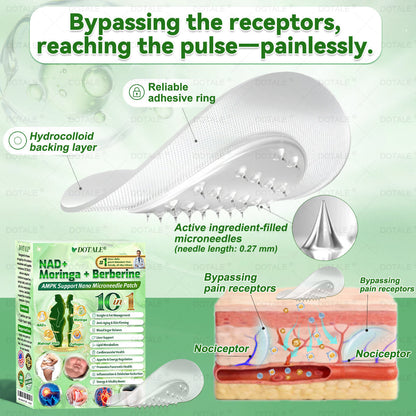 🍃DOTALE® NAD+ Moringa Berberine AMPK Nano Microneedle Patch🍃（Once daily, visible results in 7 days）Supports metabolism, weight management, heart health, and overall wellness